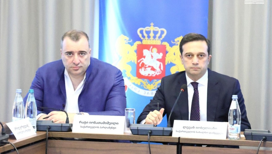 რატი იონათამიშვილმა საქართველოს სახალხო დამცველის ორგანიზებით გამართულ სამუშაო შეხვედრაში მიიღო მონაწილეობა