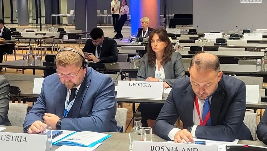 Maia Bitadze Addressed the OSCE PA Committee on Economic Affairs, Science, Technology and Environment