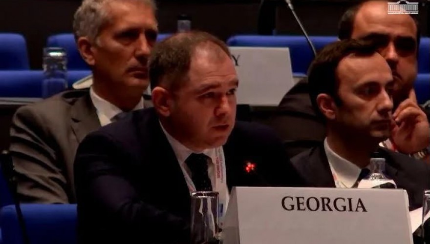 Georgian Parliamentary Delegation Participates in the 33rd Annual Session of the OSCE PA