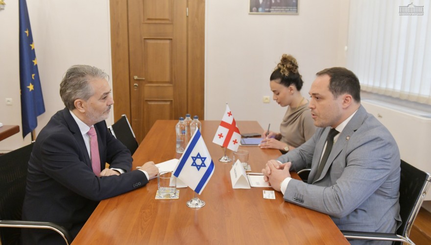გიორგი გაბუნია საქართველოში ისრაელის საგანგებო და სრულუფლებიან ელჩს შეხვდა