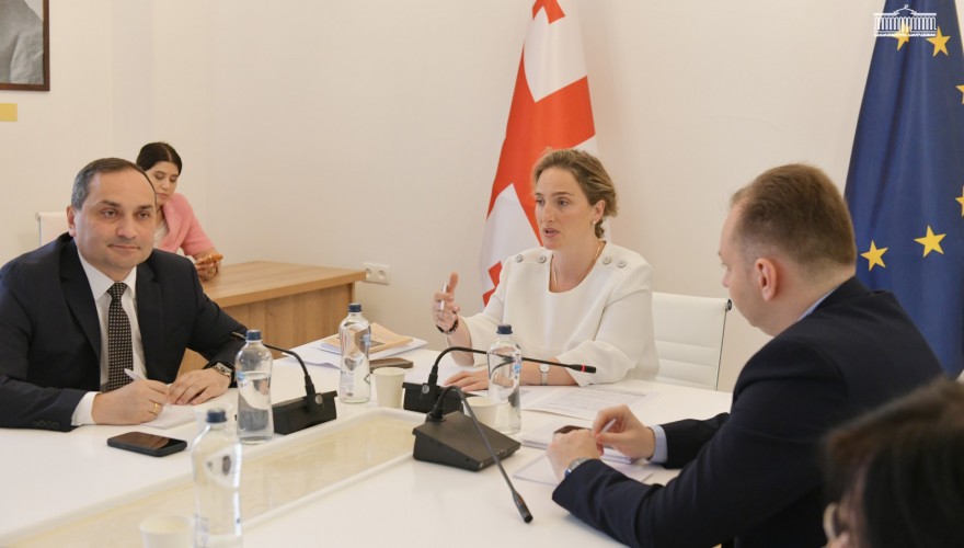 Working Group on the Protection and Development of the State Language held Meeting at Parliament