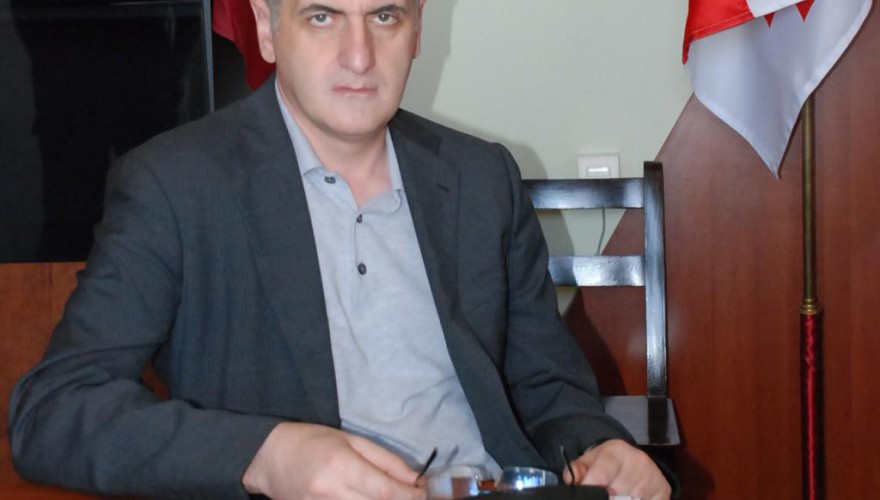 დეპუტატ კონსტანტინე გამსახურდიას ბრიფინგი