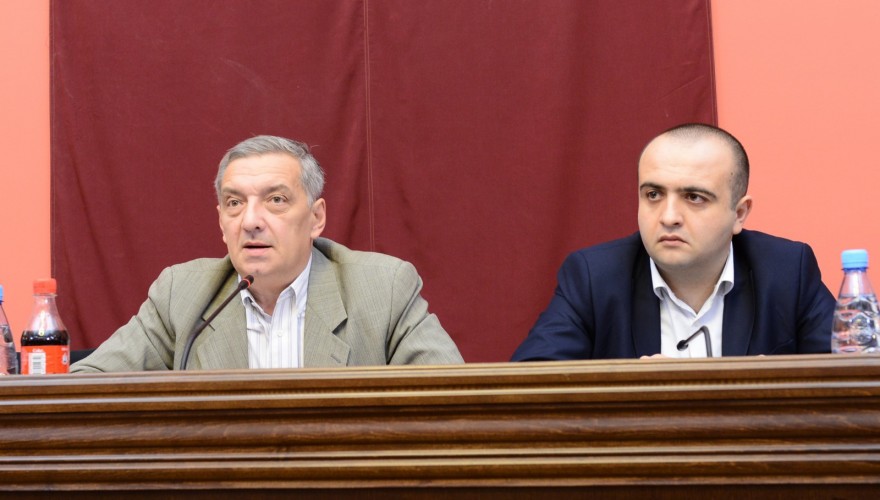 The Foreign Relations and Diaspora and Caucasus Issues Committees and the Interim Commission on Territorial Integrity heard the report by the State Minister, Paata Zakareishvili