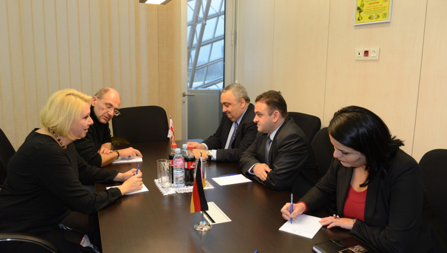The meeting of Deputy-Chair of Human Rights and Civil Integration Committee, Gedevan Popkhadze with the Head of Germany-Southern Caucasus Friendship Group, Karin Strenz