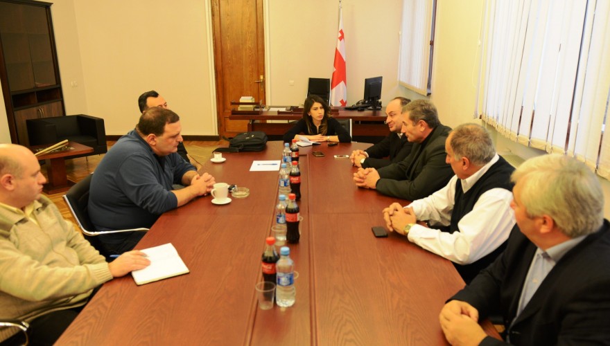 დიასპორისა და კავკასიის საკითხთა კომიტეტის თავმჯდომარის, გუბაზ სანიკიძე ჩრდილოკავკასიელი ხალხების წარმომადგენლებს და სათვისტომოს წევრებს შეხვდა