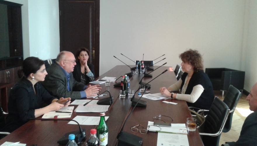 The meeting of Zurab Tkemaladze with the Director of Friedrich Ebert Stiftung Representation to Georgia, Ia Tikanadze