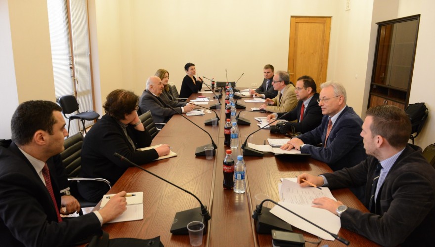 The meeting of Ivane Kiguradze with European Experts