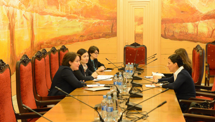 ევროპასთან ინტეგრაციის კომიტეტის თავმჯდომარის, თინათინ ხიდაშელის შეხვედრა კონრად ადენაუერის ფონდის სამხრეთ კავკასიის ოფისის ხელმძღვანელთან, ჯანან ატილგანთან