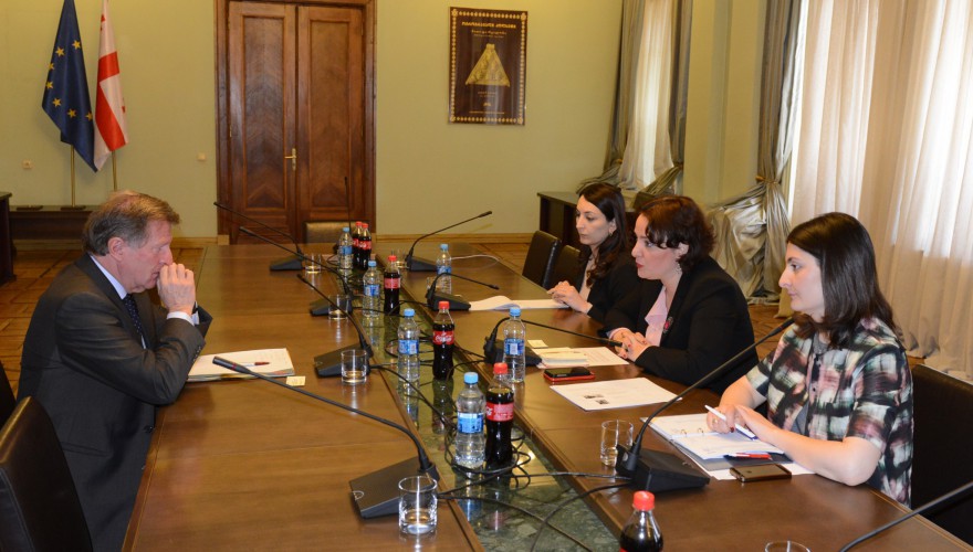 ევროპასთან ინტეგრაციის კომიტეტის თავმჯდომარის, თინათინ ხიდაშელის შეხვედრა ევროკავშირის ელჩთან, იონაშ ჰერმანთან