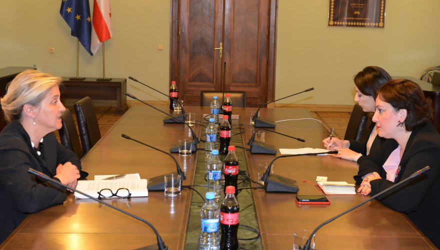 ევროპასთან ინტეგრაციის კომიტეტის თავმჯდომარის, თინათინ ხიდაშელის შეხვედრა ლატვიის ელჩთან, ელიტა გაველთან