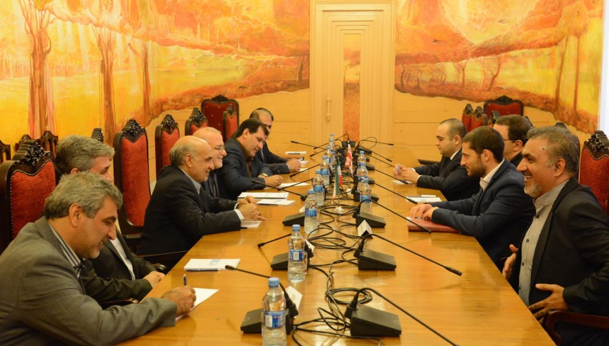 The meeting of Gubaz Sanikidze and Shalva Kiknavelidze with MPs of Iranian Parliament