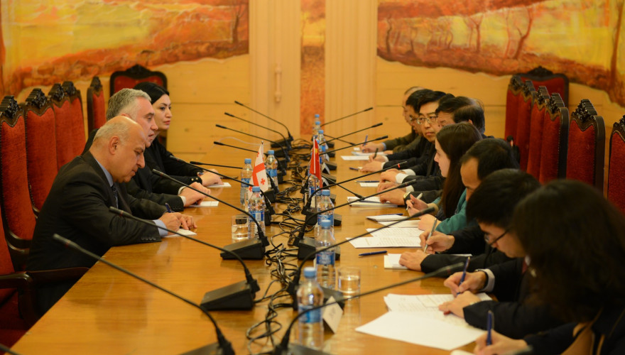 The meeting of the Vice-Speaker, Zviad Dzidziguri with the Chinese Delegation