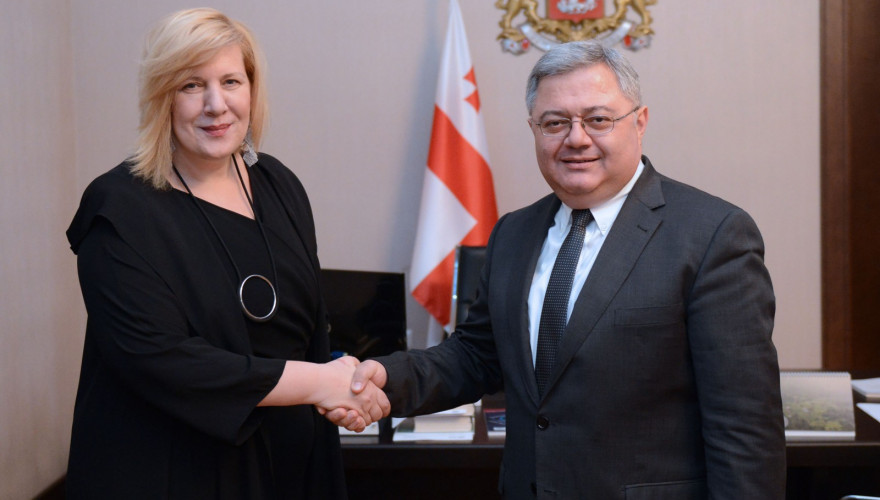 The meeting of the Speaker, Mr. David Usupashvili with the OSCE Representative of Freedom of Media, Ms. Dunya Miyatovich
