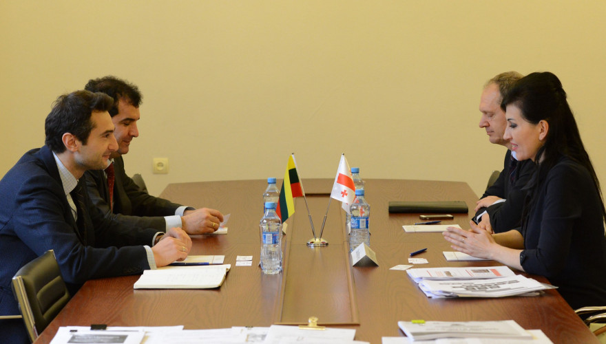 The meeting of the Chair of the Environmental Protection and Natural Resources Committee, Kakhaber Kuchava with the Vice Minister of Environment of Lithuania, Daiva Matoniene