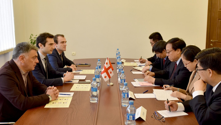 The meeting of Kakhaber Kuchava with the Chair of the Environmental Protection Committee of the National Congress of China   