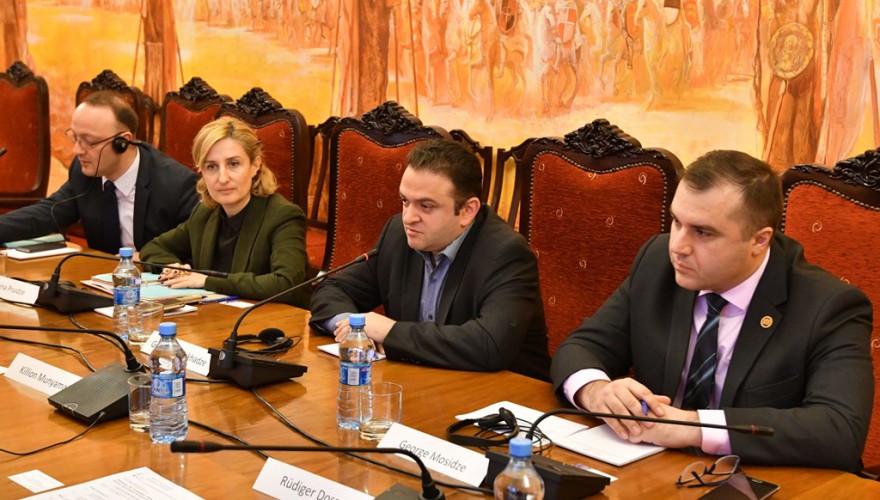 გედევან ფოფხაძე ევროპის საბჭოს საპარლამენტო ასამბლეის მიგრაციის, ლტოლვილთა და იძულებით გადაადგილებულ პირთა კომიტეტის მომხსენებელს შეხვდა