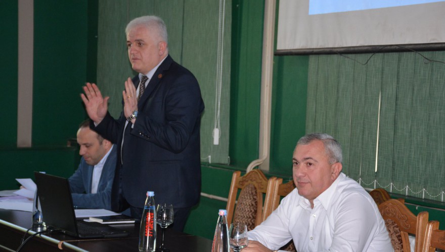 ლევან გოგიჩაიშვილი აკაკი წერეთლის სახელმწიფო უნივერსიტეტის სტუდენტებს შეხვდა