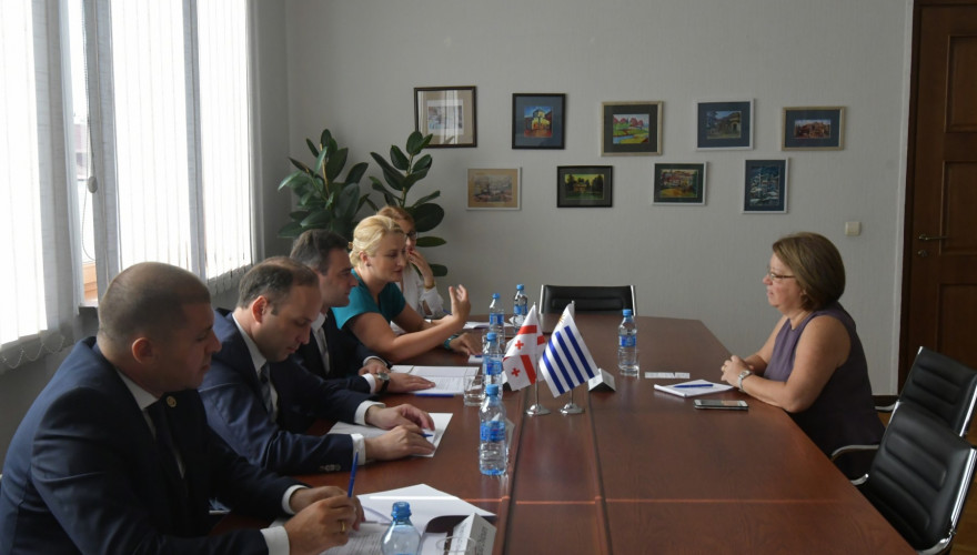 Giorgi Khatidze, Levan Gogichaishvili and Mamuka Chikovani hosting the Senator of the Parliament of Uruguay, Mónica Xavier