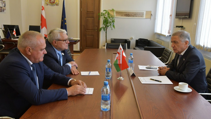 The meeting of Isko Daseni with the Belarus-Georgia Parliamentary Friendship Group members