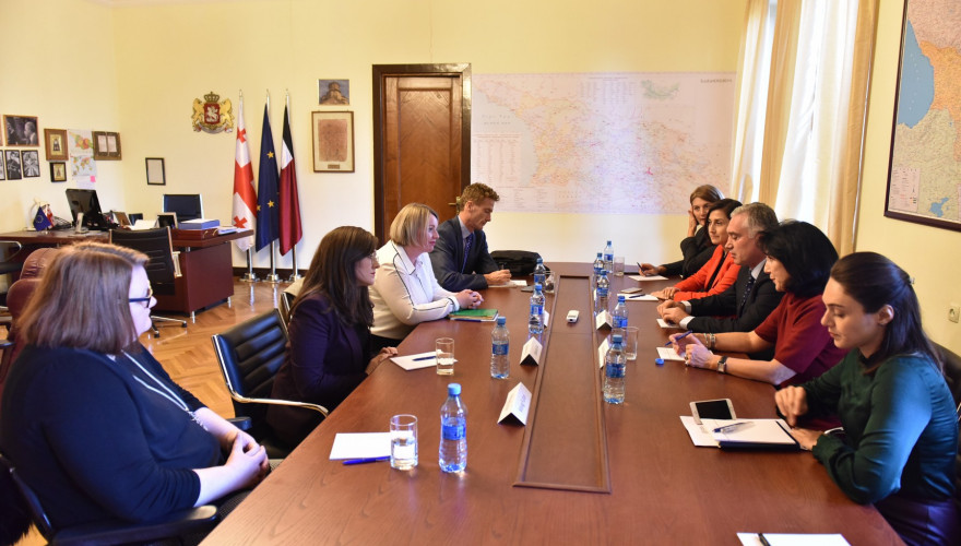 The meeting of Zviad Dzidziguri and Nino Goguadze with Westminster Foundation for Democracy representatives