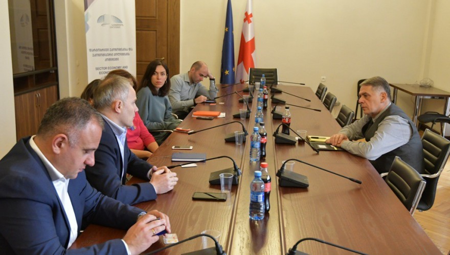 The meeting of Roman Kakulia with the representatives of the Leasing Associaiton