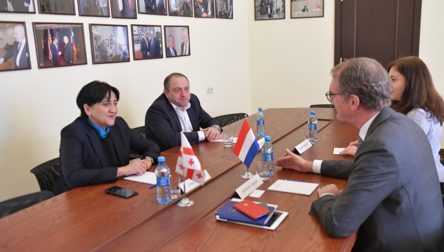 The meeting of Irma Inashvili with the Ambassador of the Netherlands