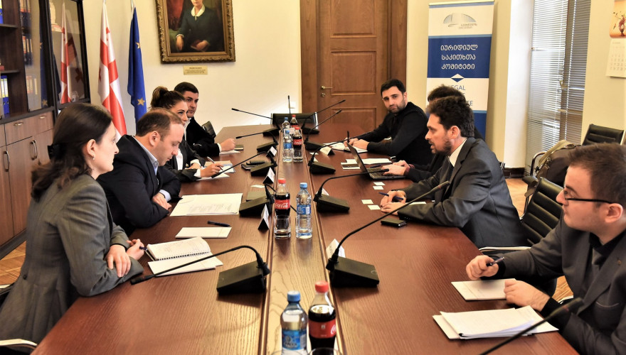 ლევან გოგიჩაიშვილი იურიდიულ საკითხთა კომიტეტის სახელით, ეუთოს დემოკრატიული ინსტიტუტებისა და ადამიანის უფლებათა ოფისის წარმომადგენლებს შეხვდა