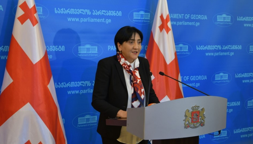 Irma Inashvili: the Prosecutor’s Office and the Ministry of Internal Affairs to immediately set to investigation to verify authenticity of alleged 780 000 electors of the National Movement