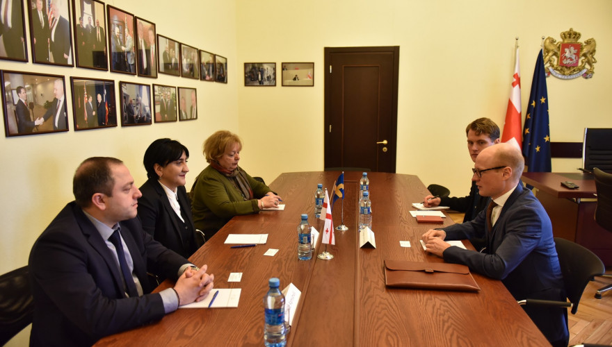 The meeting of Irma Inashvili with the representatives of the Swedish Embassy