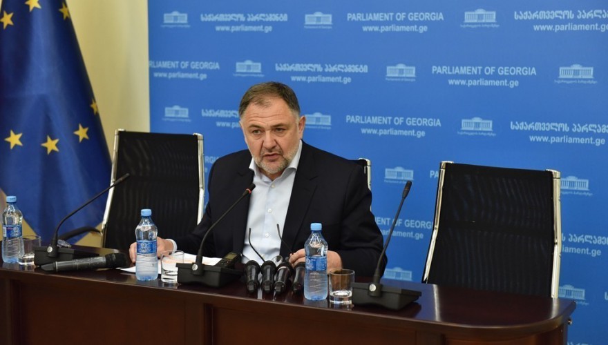 ბიძინა გეგიძე: „ბრძოლა გრძელდება სპორტისა და რეკრეაციის დასაცავად“