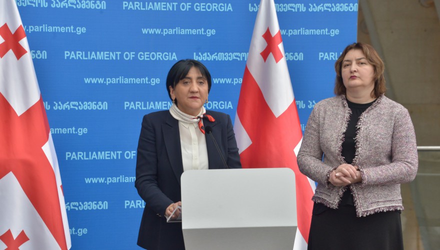 ირმა ინაშვილის ბრიფინგი
