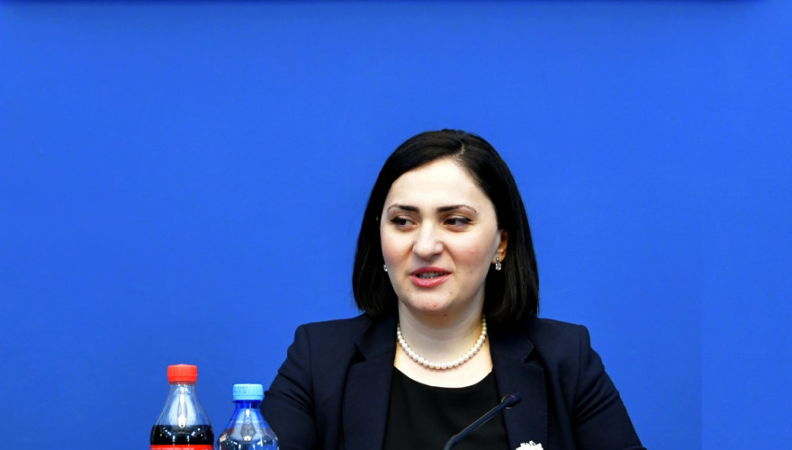 Gedevan Popkhadze resigned from the position of the First Deputy Chair of the Human Rights and Civil Integration Committee