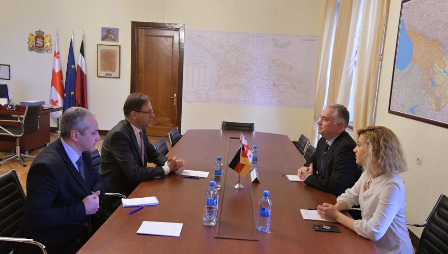 The meeting of Zviad Dzidziguri with the German Ambassador
