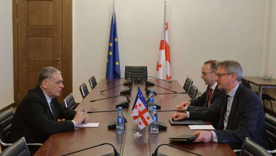 The meeting of Roman Kakulia with the EU Ambassador, Carl Hartzell