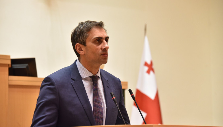 Giorgi Kakhiani speaking about the procedures under the new Rules of Procedure