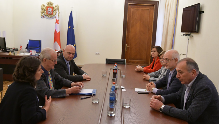 The meeting of Ilia Nakashidze with the Director of the International Center for Tobacco Cessation, PhD Martin Raw