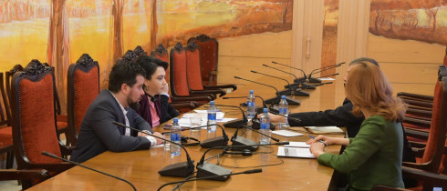 ეკა ბესელია და ლევან გოგიჩაიშვილი საქართველოში ევროსაბჭოს ოფისის ხელმძღვანელს შეხვდნენ