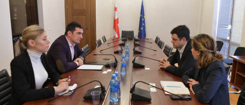 გიორგი ბეგაძე თბილისის მუნიციპალიტეტის წარმომადგენლებს შეხვდა