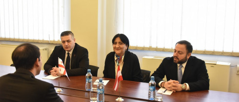 The meeting of Irma Inashvili and Giorgi Lomia with the Austrian Ambassador