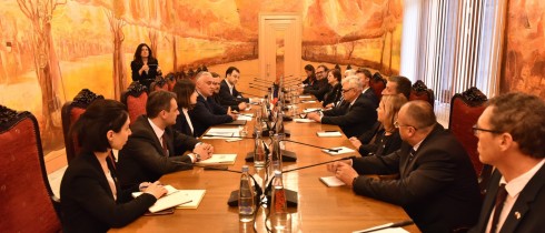 The meeting of Zviad Dzidziguri with the Delegation of Czech Senate