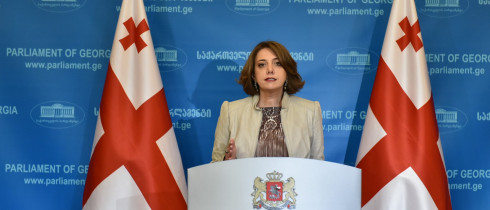 სალომე სამადაშვილის ბრიფინგი