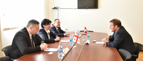The meeting of Irma Inashvili with the Swiss Ambassador