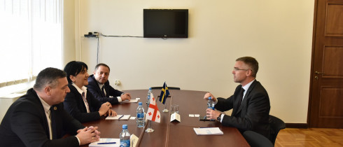 The meeting of Irma Inashvili with the Swedish Ambassador