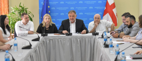 ბიძინა გეგიძემ თანამოაზრეებთან ერთად პრესკონფერენცია გამართა თბილისში ჟვანიას ქუჩის განაშენიანებასთან დაკავშირებით