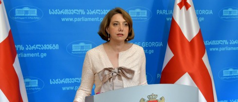 საქართველოს პარლამენტის წევრის, სალომე სამადაშვილის ბრიფინგი