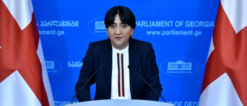 Irma Inashvili: developments in the Parliament were the planned provocations