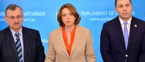 ფრაქცია „ნაციონალური მოძრაობის“ თავმჯდომარის მოადგილის, სალომე სამადაშვილის ბრიფინგი