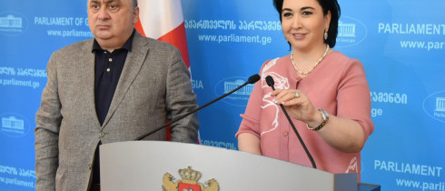 ეკა ბესელია და ზვიად კვაჭანტირაძე დავით გარეჯში განვითარებული მოვლენების შესახებ საკომიტეტო განხილვას ითხოვენ
