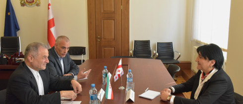 Irma Inashvili: the Ambassador of Iran asked about the electoral reform in Georgia and its possible positive outcomes