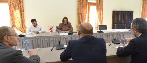 სალომე სამადაშვილი გერმანიის ფედერაციული რესპუბლიკის ბუნდესტაგის წევრებს შეხვდა